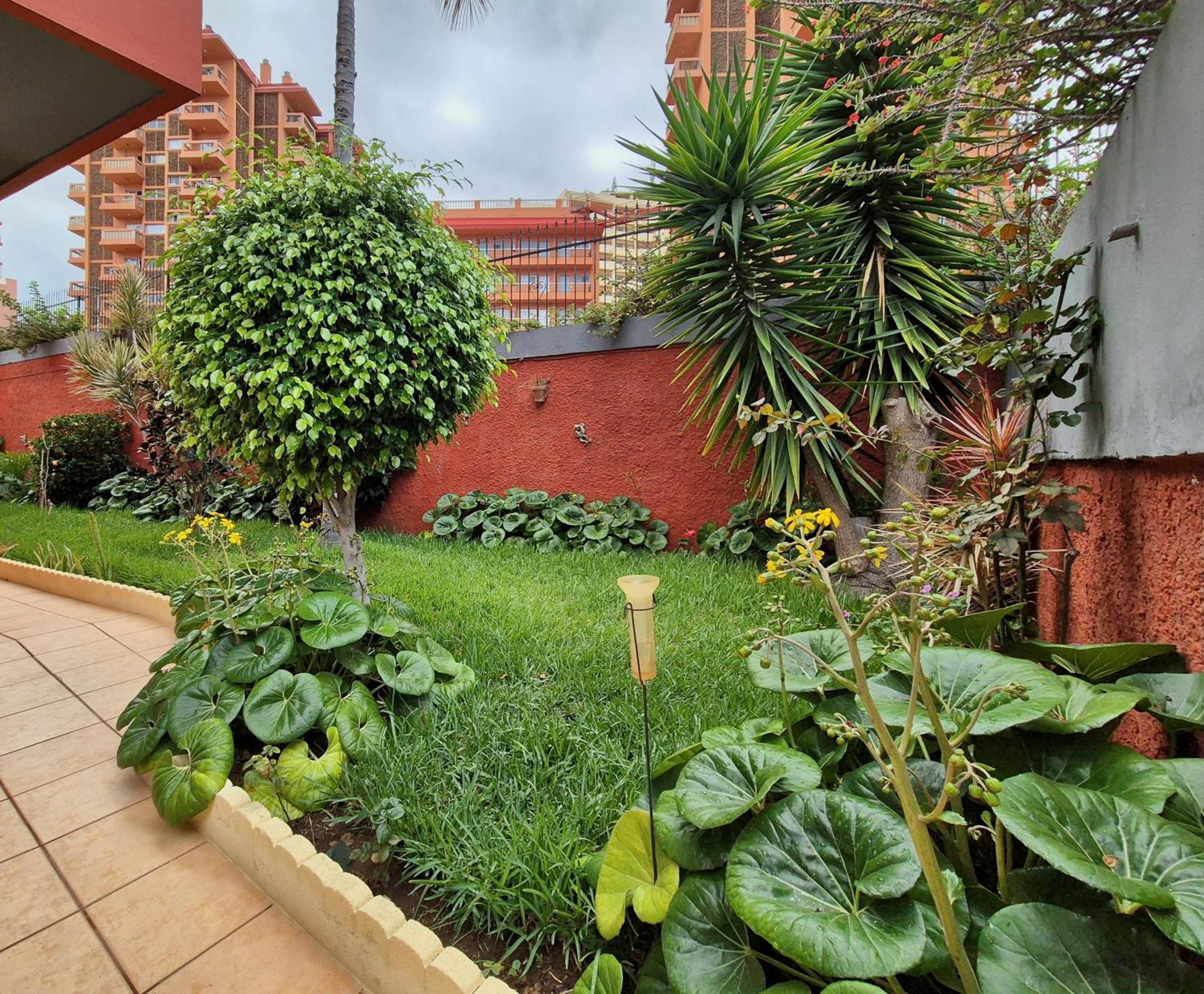 Canaima Apartments Puerto de la Cruz  Esterno foto